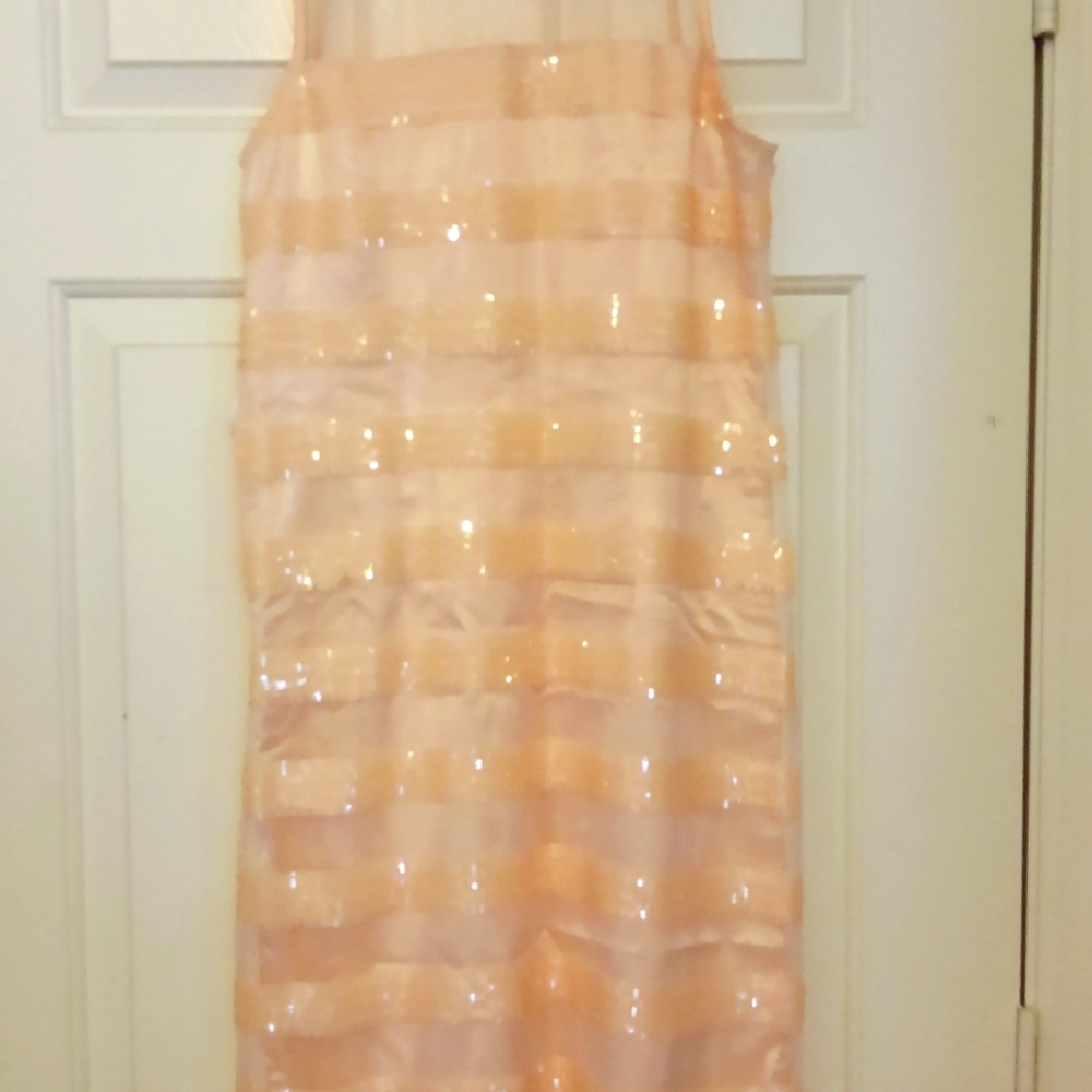 Anthro Minuet Pink Sequin Stripe Sheath Dress